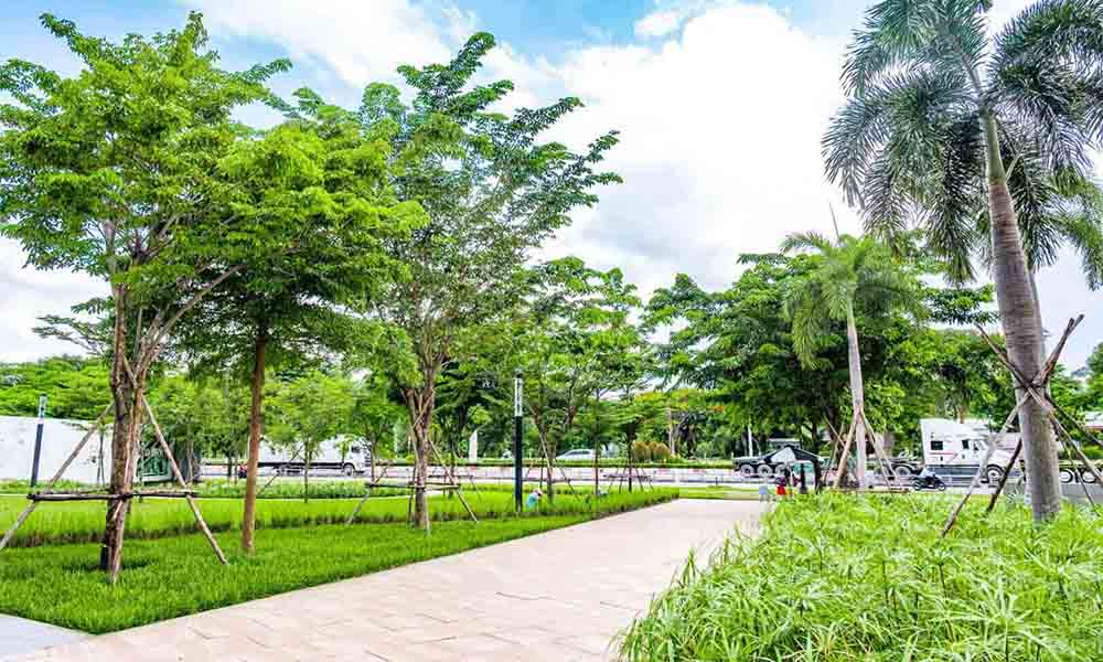 Đường đi bộ xanh ngát, rợp bóng cây tại OneHub Saigon