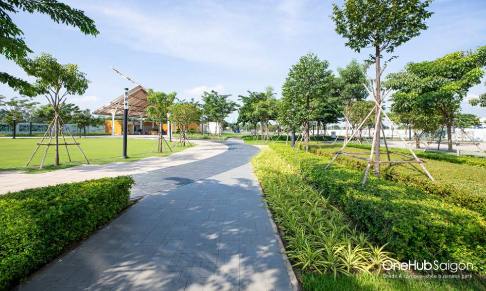 Lợi ích về không gian xanh khi lựa chọn OneHub Saigon