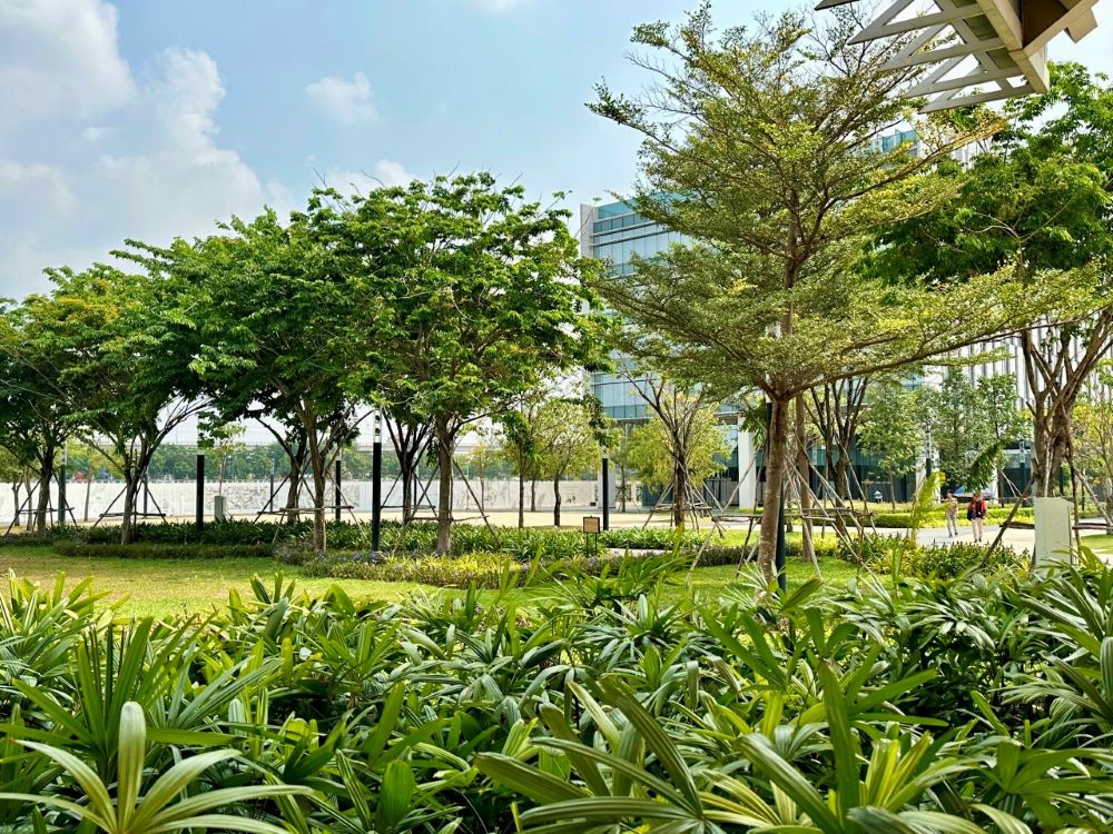 Lush greenery at OneHub Saigon
