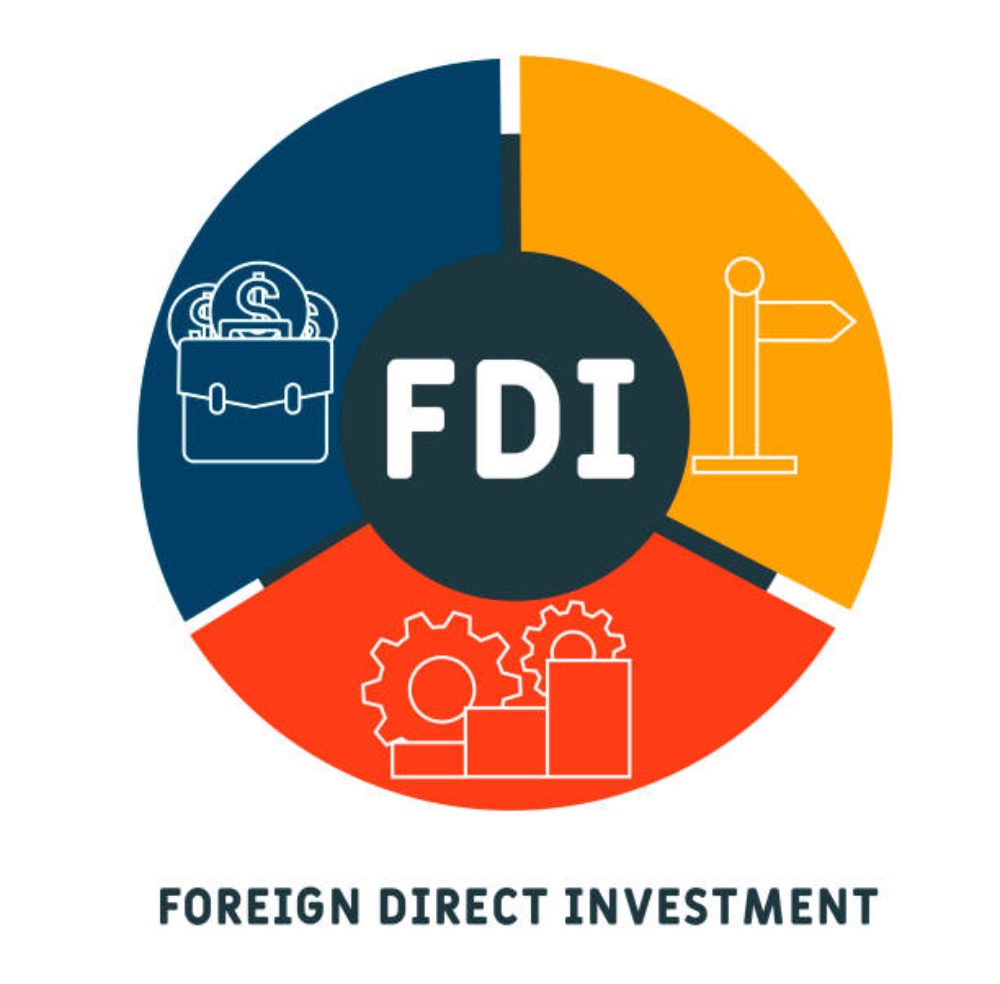 Quỹ đầu tư nước ngoài (FDI)