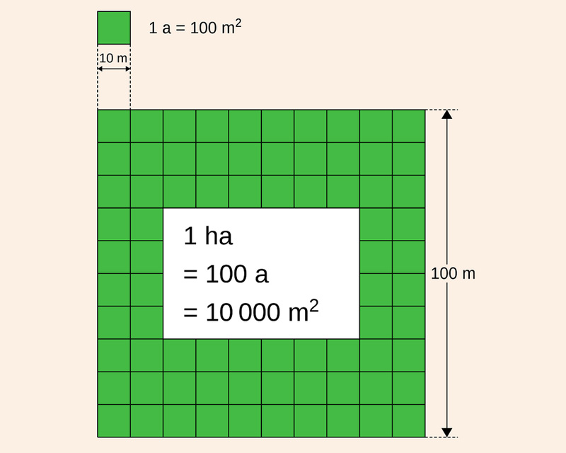 1 ha bằng bao nhiêu m2